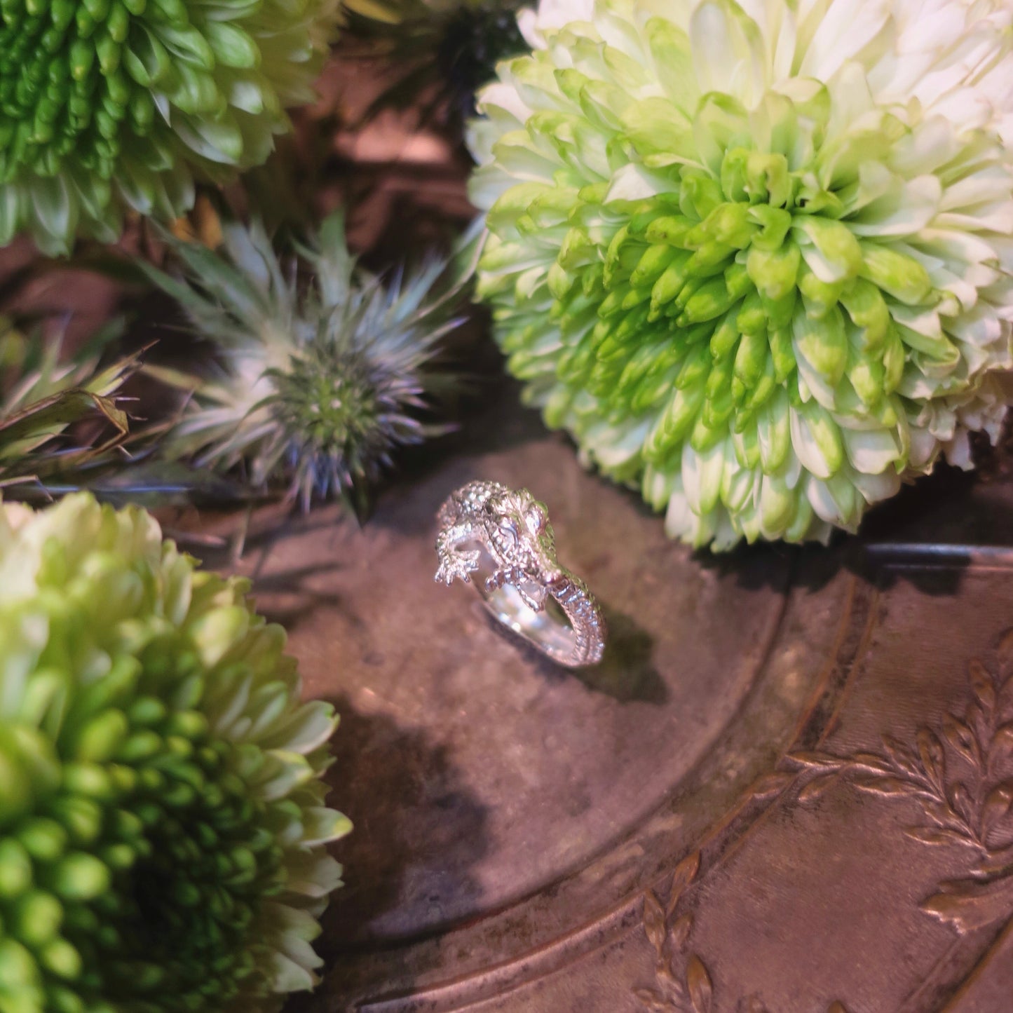 Bague crocodile/argent